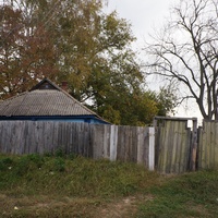 Павловая улица