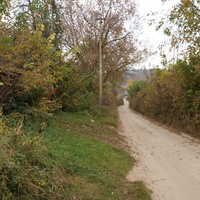 Павловая улица