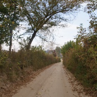 Павловая улица