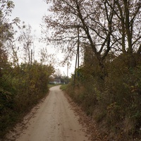 Павловая улица