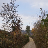 Павловая улица