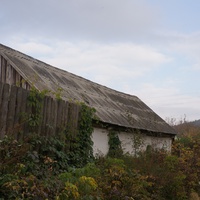 Павловая улица