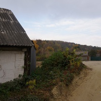 Павловая улица