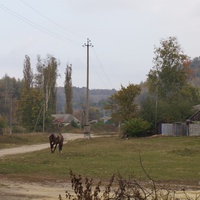 Улица Павловая