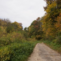 Дорога на часовню и к памятнику