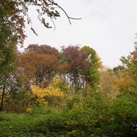 На горе у Западни