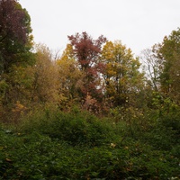 На горе у Западни