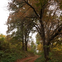 Дорога на часовню