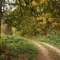 Дорога на часовню, к яблоневу саду