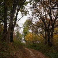 Дорога на часовню