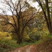 Дорога на часовню