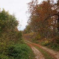 Дорога на часовню