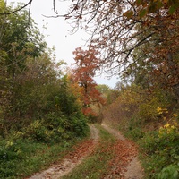 Дорога на часовню