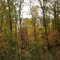 Вид в сторону Западни