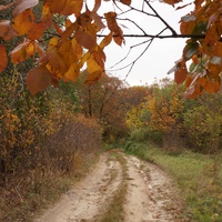 Дорога на часовню