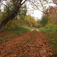 Дорога у старого кладбища на часовне