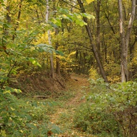 Дорога к памятнику