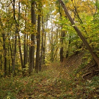 Дорога на горе