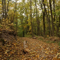 Дорога к памятнику
