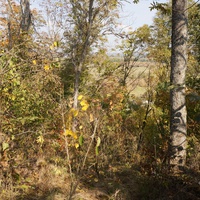 Спуск с горы к Западне