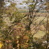 Заливной луг на Западне