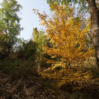 Спуск с горы к Западне