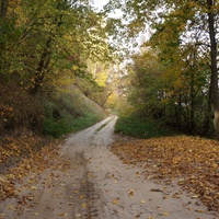 Окраина села на Западне