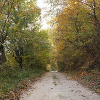 Окраина села на Западне