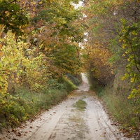 Окраина села на Западне