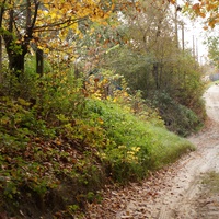 Михайловка, Западня