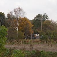 Михайловка, Западня