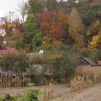 Михайловка, Западня
