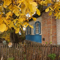 Михайловка, Западня