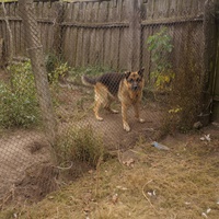 Михайловка, Западня