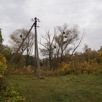Михайловка, Западня