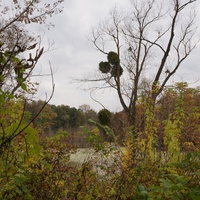 Михайловка, Западня