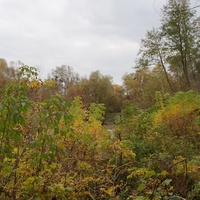 Михайловка, Западня