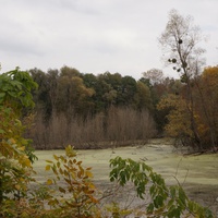 Михайловка, Западня, русло речки Псёл