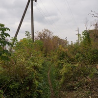 Михайловка, Западня