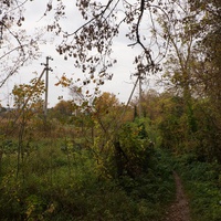 Михайловка, Западня