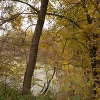 Михайловка, Западня