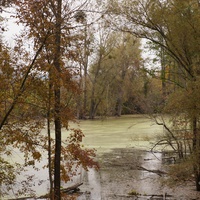 Михайловка, Западня