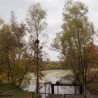 Михайловка, Западня