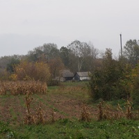 Михайловка, огороды
