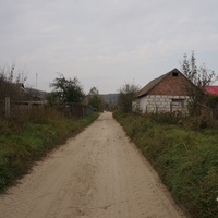 Павловая улица