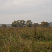 Михайловка