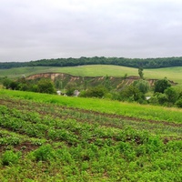 Околиця Кам'янки(П'яний яр),вид з дороги на  Грушківку.