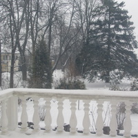 Елизатевинский дворец в Дылицах. вид из окна на парк