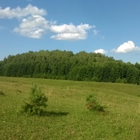 Окрестности деревни Павловка