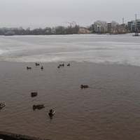 Река Средняя Невка